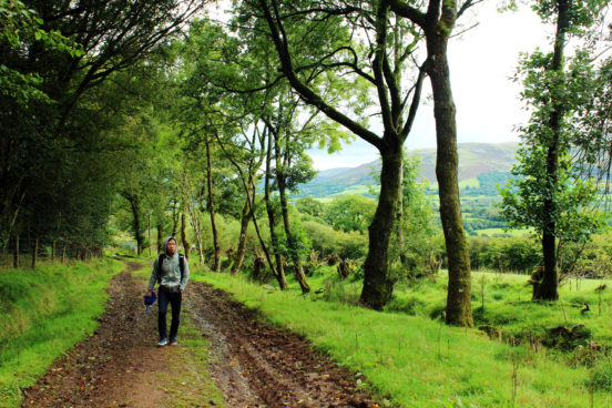 The muddy path leading to Brecon Beacons Visitor Centre | Day trip to Brecon Beacons from Cardiff