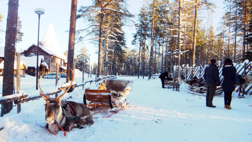 Reindeer farm at Santa Claus Village in Lapland