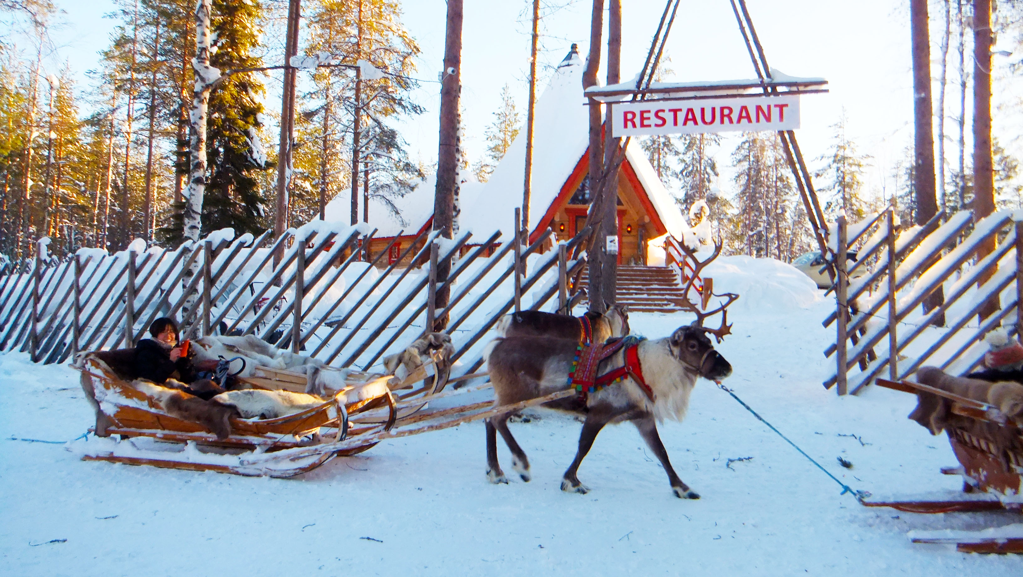 can you visit santa in lapland in february