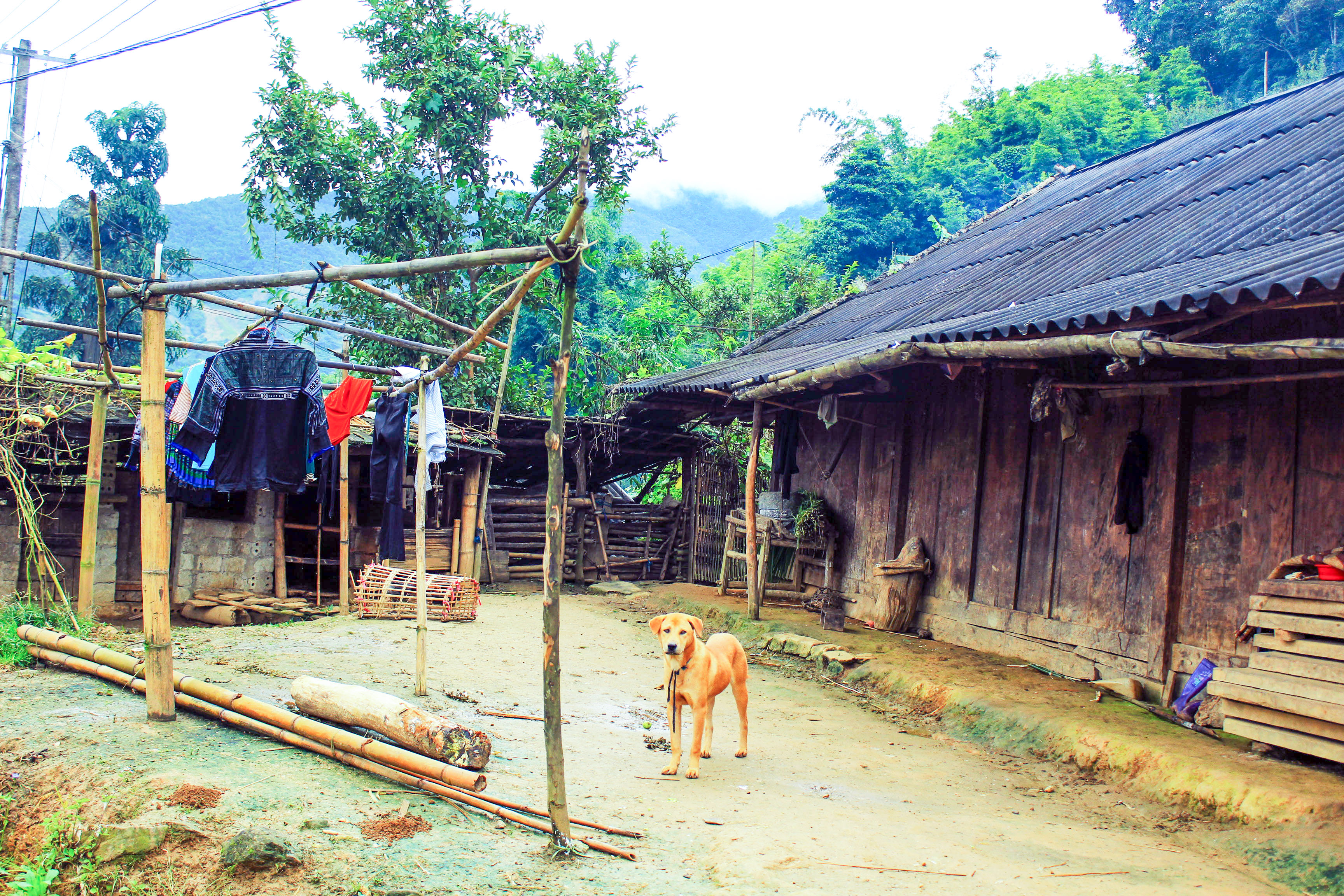 House of a local Hmong family