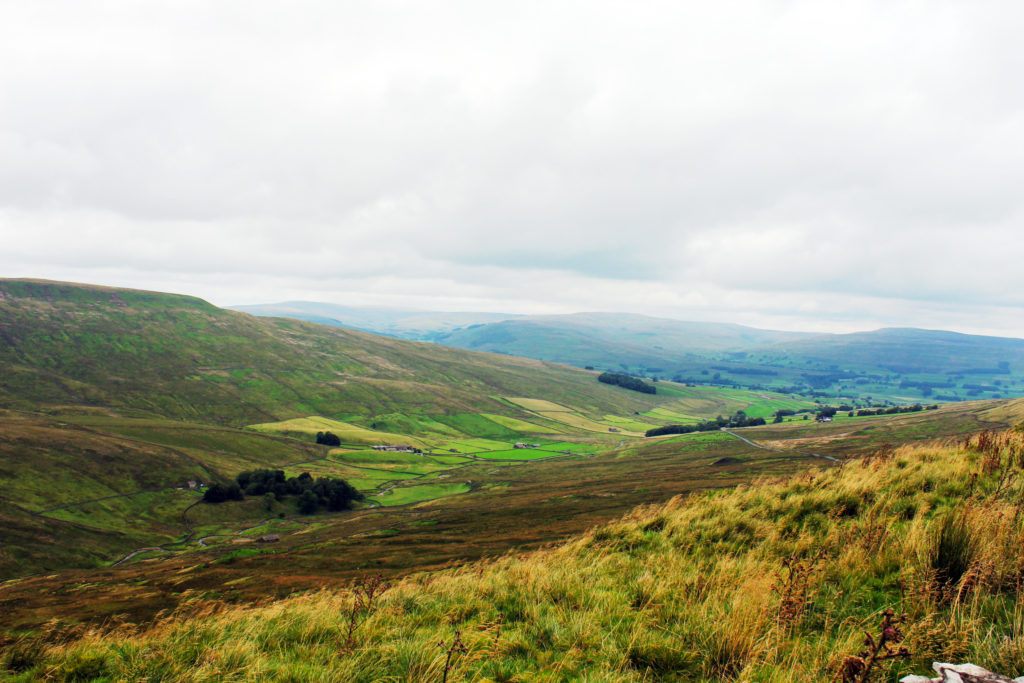 Moorland and meadow Yorkshire Dales tour