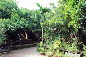 A typical garden at Duong Lam Ancient Village