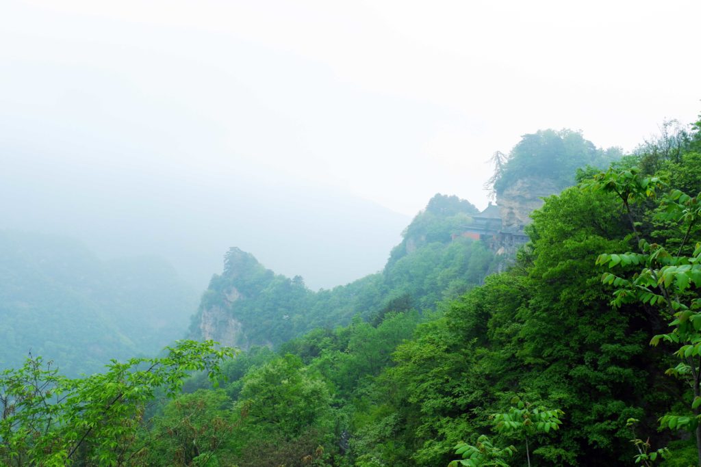 Greenery during the spring on Wudang Mountains