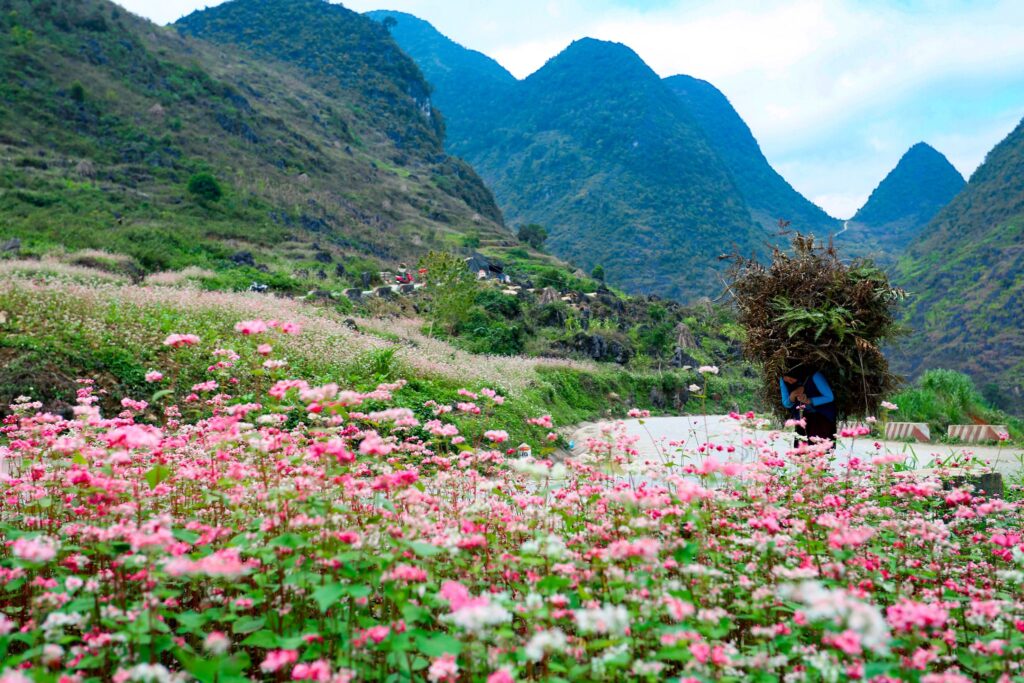 Ha Giang Travel Guide