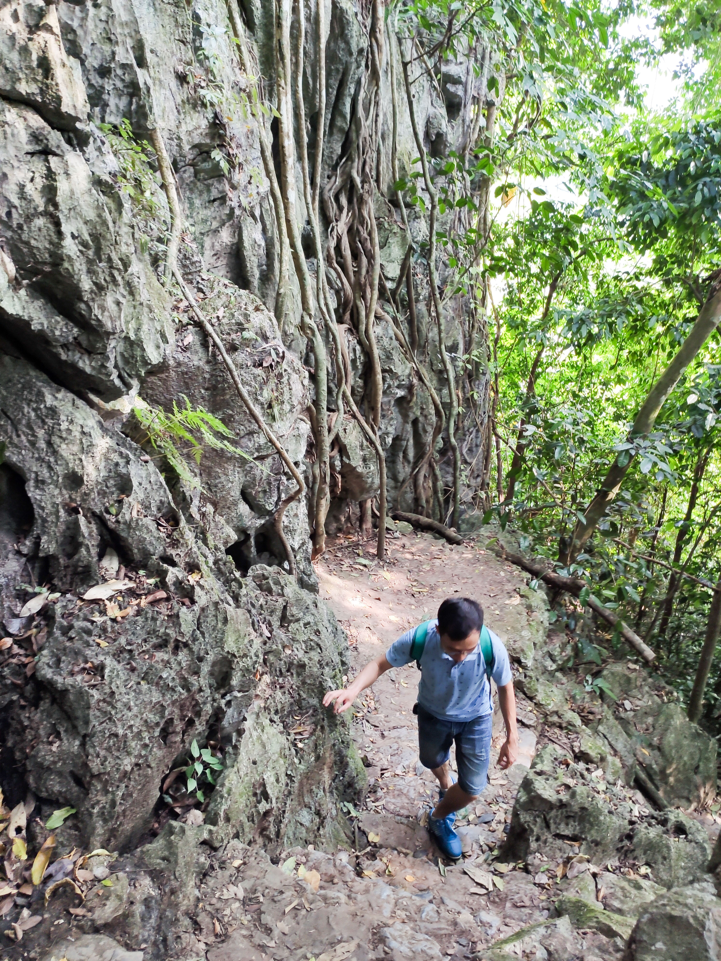Trekking at Cuc Phuong National Park - Day trips from Hanoi