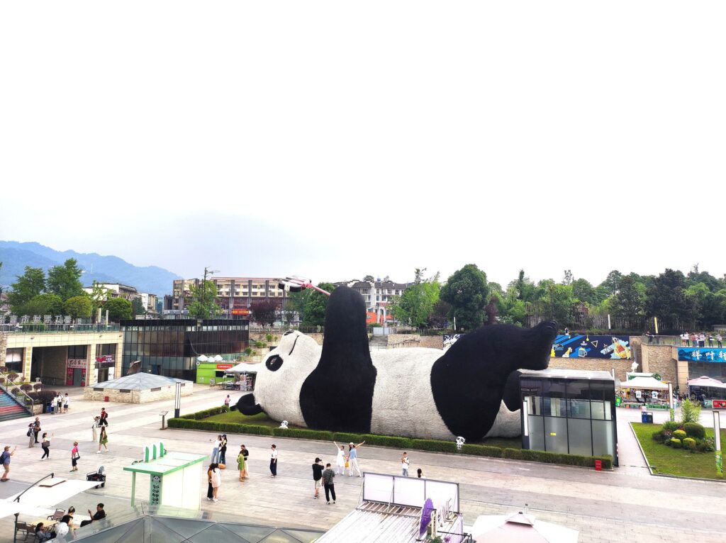 Selfie Panda in Dujiangyan - 7 day Chengdu Itinerary Ideas