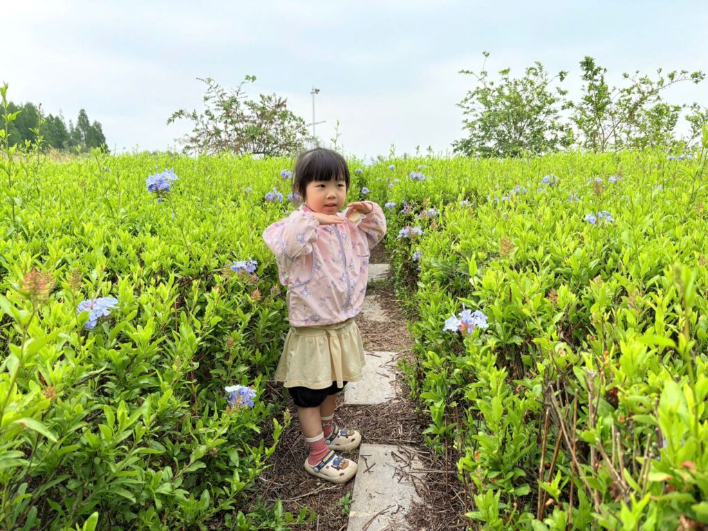 Fun things to do in Kunming with kids