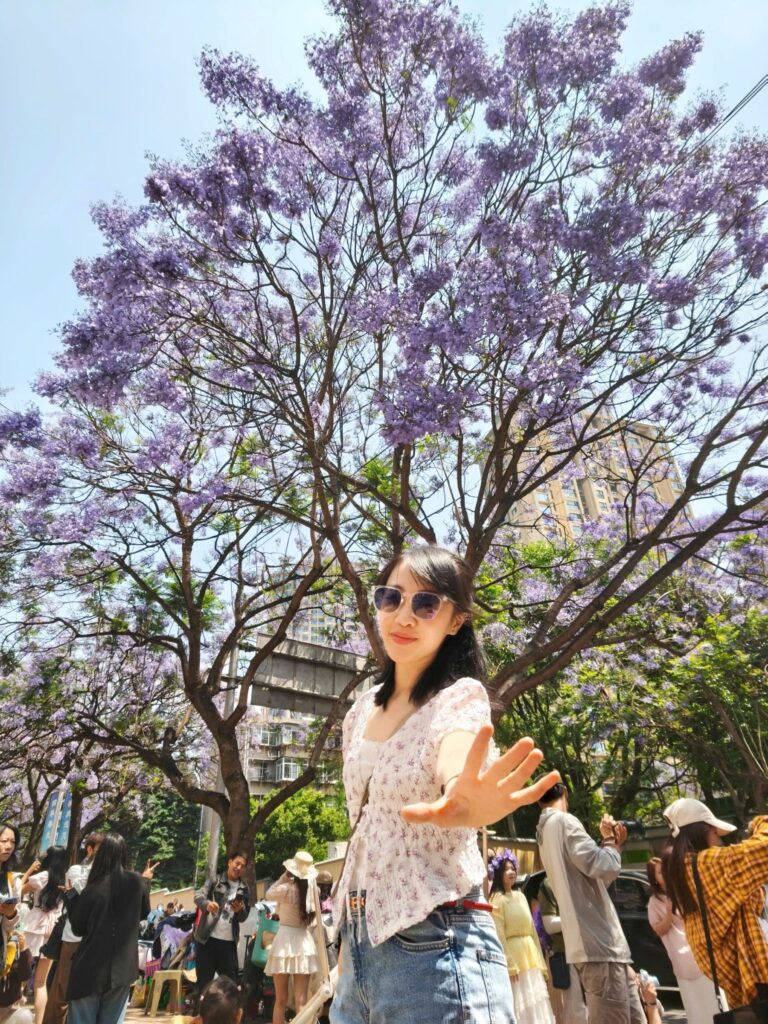 5 Tips for Watching Jacaranda in Kunming for First-Time Visitors